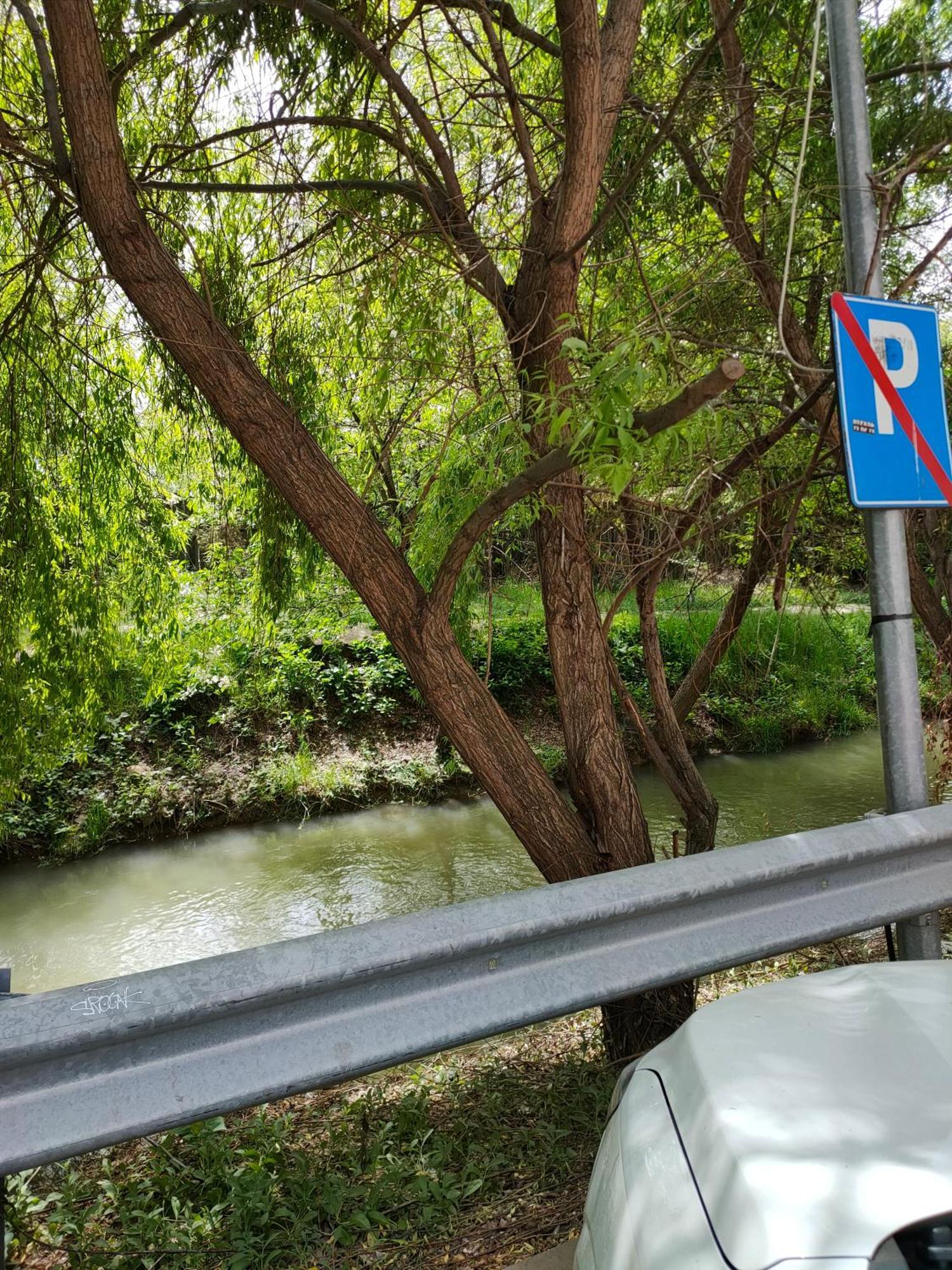 Cozy Apartment Bucharest Rosu Екстер'єр фото